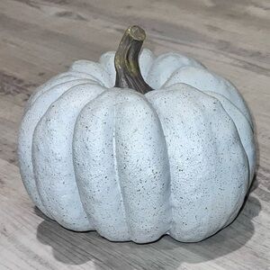 Gray Pumpkin